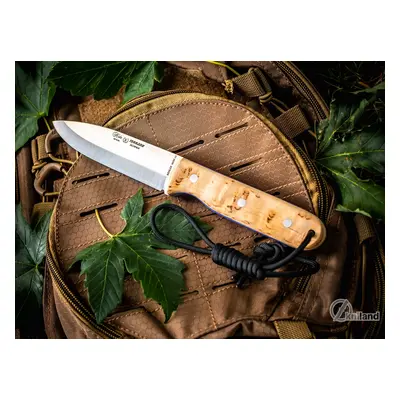 Miguel Nieto 1080-AS Terrano Scandi Curly Birch