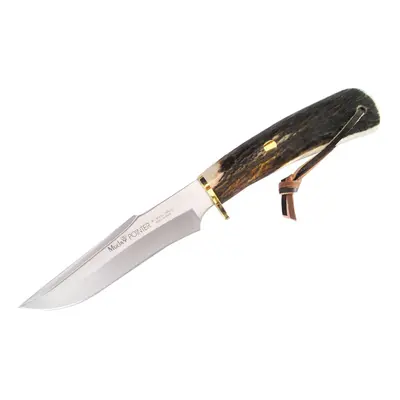 Muela Pointer 13A Stag