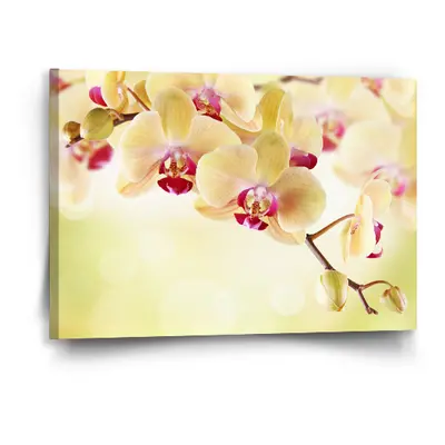 Obraz Orchidej 2 - 60x40 cm