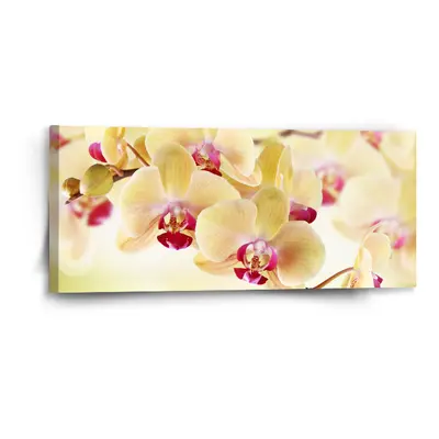 Obraz Orchidej 2 - 110x50 cm