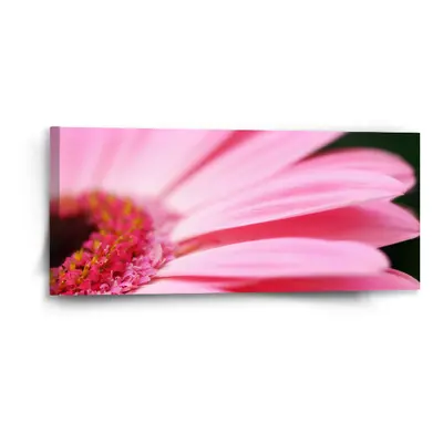 Obraz Růžová gerbera - 110x50 cm