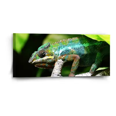 Obraz Chameleon - 110x50 cm