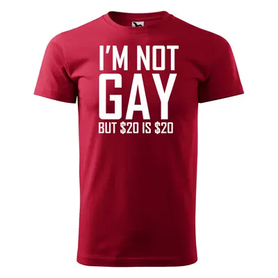 Tričko s potiskem I am not gay, but... - červené 4XL