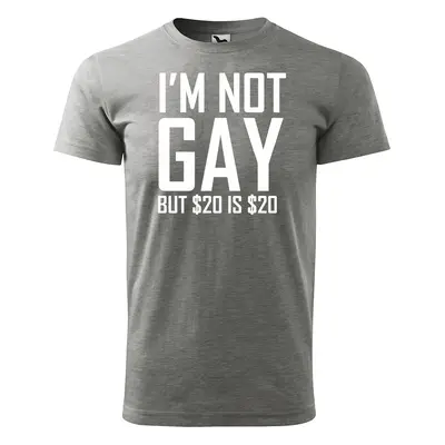 Tričko s potiskem I am not gay, but... - šedé 5XL