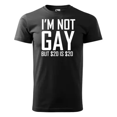 Tričko s potiskem I am not gay, but... - černé 4XL