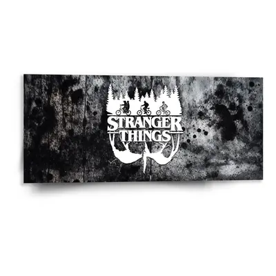 Obraz Stranger Things White - 110x50 cm