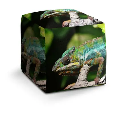 Taburet Cube Chameleon: 40x40x40 cm