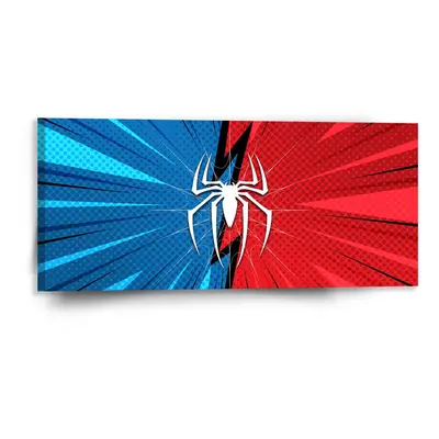 Obraz Spider - 110x50 cm