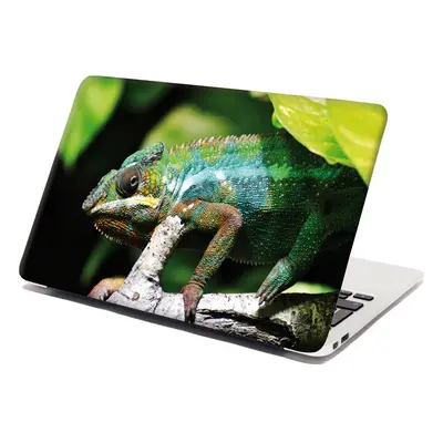 Samolepka na notebook Chameleon - 38x26 cm