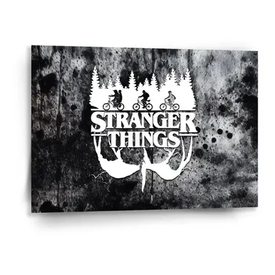 Obraz Stranger Things White - 90x60 cm