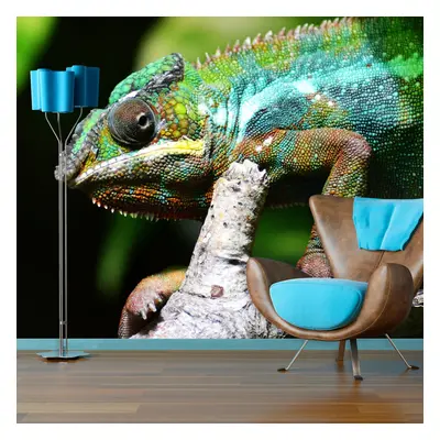 Tapeta Chameleon - 208x125 cm