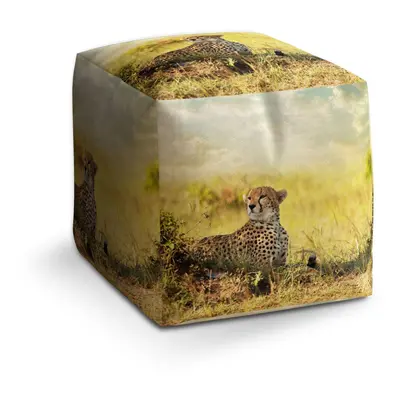 Taburet Cube Gepard: 40x40x40 cm