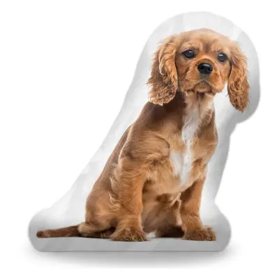 3D polštář ve tvaru King charles spaniel