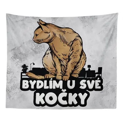 Deka Bydlím u své kočky: 150x120 cm