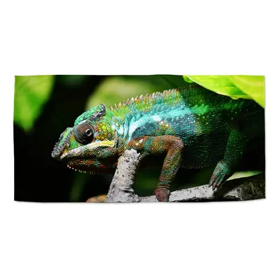 Ručník Chameleon - 30x50 cm