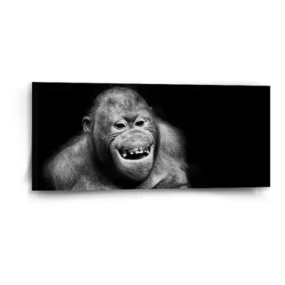 Obraz Orangutan - 110x50 cm