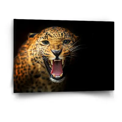 Obraz Gepard 2 - 60x40 cm