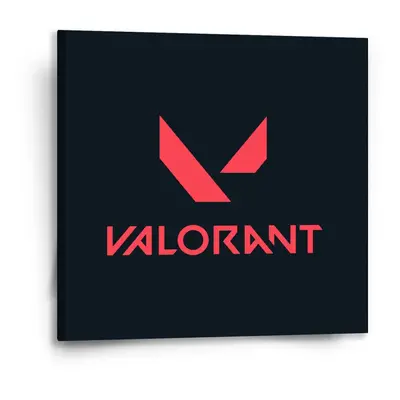 Obraz VALORANT Black - 50x50 cm