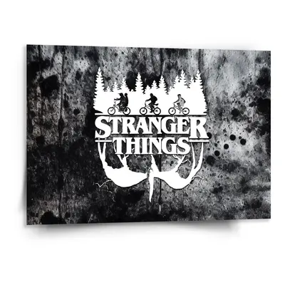 Obraz Stranger Things White - 150x110 cm