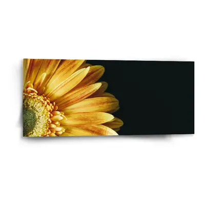 Obraz žlutá gerbera - 110x50 cm