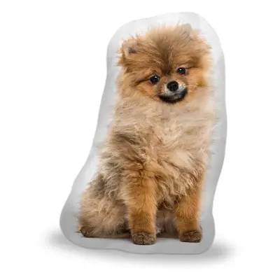 3D polštář ve tvaru Pomeranian