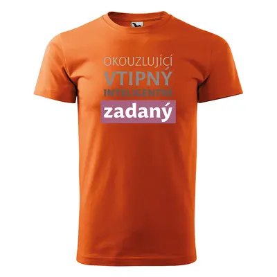 Tričko s potiskem pro přítele Okouzlující vtipný inteligentní zadaný - oranžové 4XL