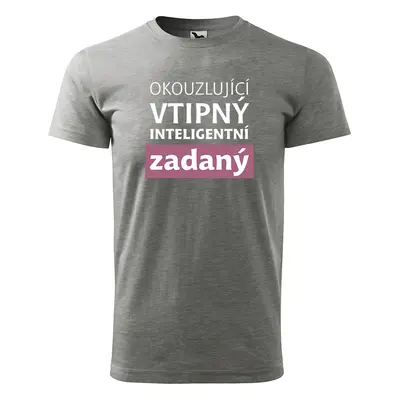 Tričko s potiskem pro přítele Okouzlující vtipný inteligentní zadaný - šedé 2XL