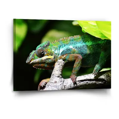 Obraz Chameleon - 120x80 cm