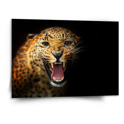 Obraz Gepard 2 - 150x110 cm