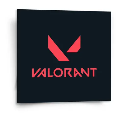 Obraz VALORANT Black - 110x110 cm