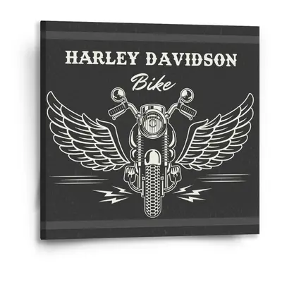 Obraz Harley-Davidson S křídly - 50x50 cm