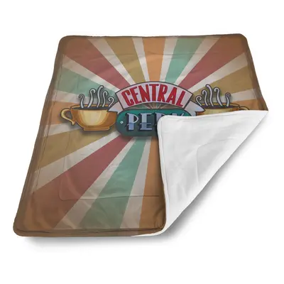 Deka pro miminko Seriál přátelé CENTRAL PERK Abstrakce - 90x120 cm