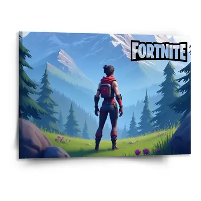 Obraz FORTNITE Horská krajina - 150x110 cm