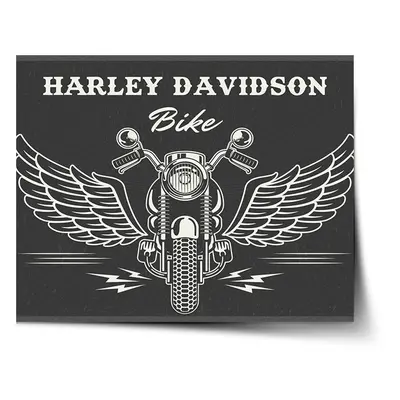 Plakát Harley-Davidson S křídly - 90x60 cm