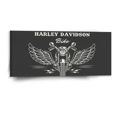 Obraz Harley-Davidson S křídly - 110x50 cm