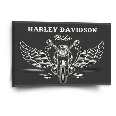 Obraz Harley-Davidson S křídly - 60x40 cm