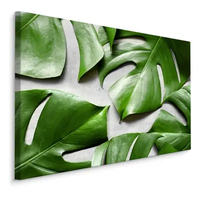 MyBestHome BOX Plátno Monstera Listy Na Šedém Pozadí Varianta: 70x50