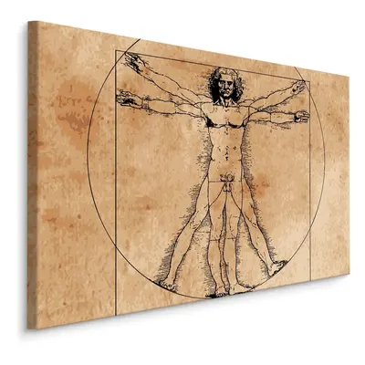 MyBestHome BOX Plátno Muž Leonarda Da Vinci Varianta: 70x50