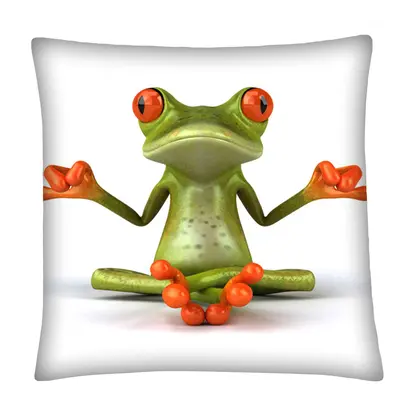 Polštář FROG 01 zelená Mybesthome 40x40 cm Varianta: Povlak na polštář, 40x40 cm