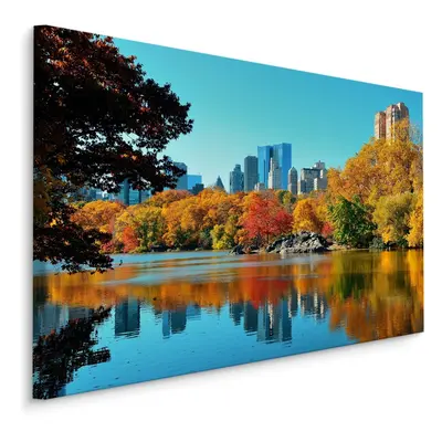 Plátno Central Park Na Podzim Varianta: 40x30