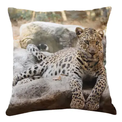 Polštář LEOPARD 103 MyBestHome 40x40cm fototisk 3D motiv béžová Varianta: Povlak na polštář, 40x