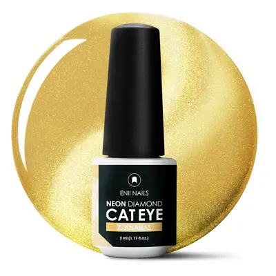 Magnetický Gel lak Neon Diamond Cat Eye 7 Ananas 5 ml