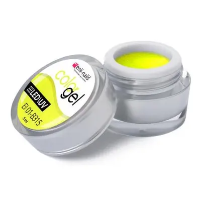 Barevný UV/LED gel 5 ml č.315