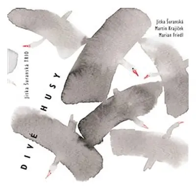 ŠURANSKÁ JITKA TRIO - Divé husy CD