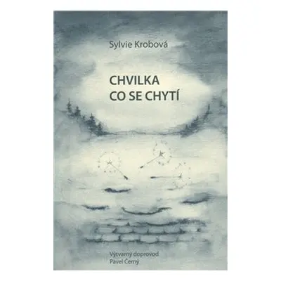 Chvilka co se chytí - Sylvie Krobová