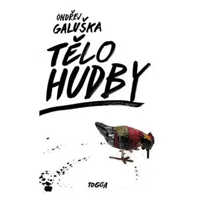 Tělo hudby - Ondřej Galuška