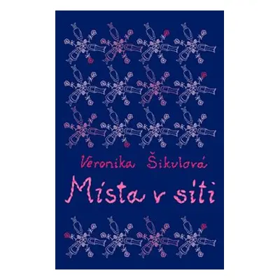 Místa v síti - Veronika Šikulová