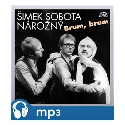 Brum, brum - Miloslav Šimek, Luděk Sobota