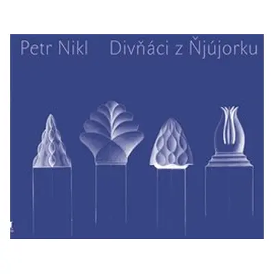 Divňáci z Ňjújorku - Petr Nikl