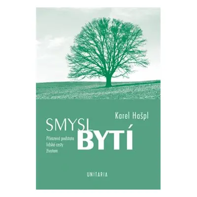 Smysl bytí - Karel Hašpl